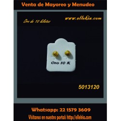 Broquel de Oro de 10K 5013120