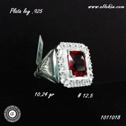 Anillo plata ley .925 1011018