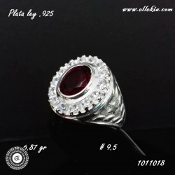Anillo plata ley .925 1011018