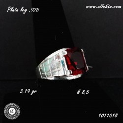 Anillo plata ley .925 1011018