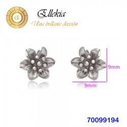 Aretes de Rodio Mod. 70099194
