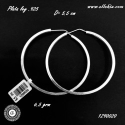 Arracadas de Plata 1290020-001
