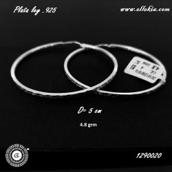 Arracadas de Plata 1290020-002